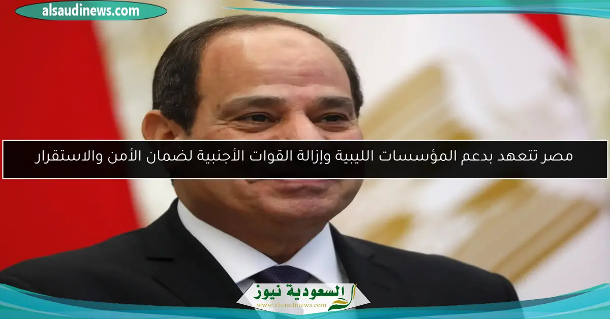 مصر تتعهد بدعم المؤسسات الليبية وإزالة القوات الأجنبية لضمان الأمن والاستقرار
