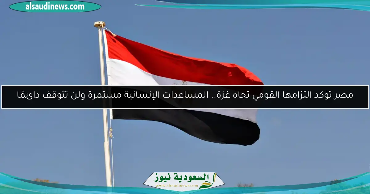 مصر تؤكد التزامها القومي تجاه غزة.. المساعدات الإنسانية مستمرة ولن تتوقف دائمًا