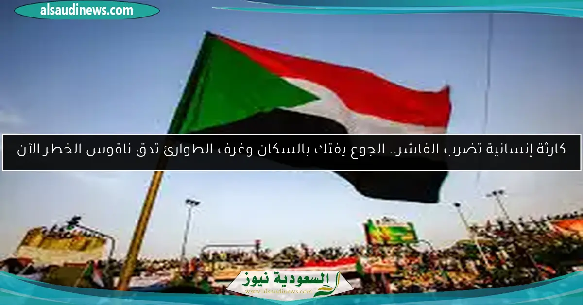كارثة إنسانية تضرب الفاشر.. الجوع يفتك بالسكان وغرف الطوارئ تدق ناقوس الخطر الآن