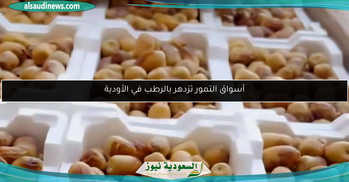 أسواق التمور تزدهر بالرطب في الأودية
