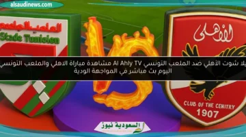 الاهلي والملعب التونسي الودية