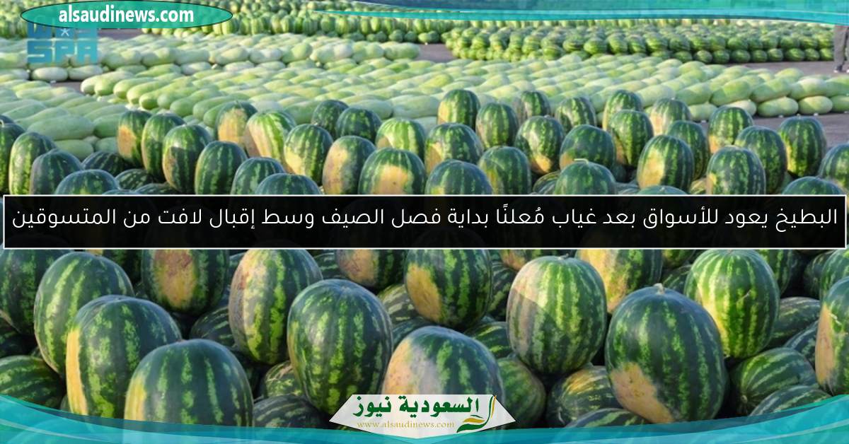 البطيخ يعود للأسواق بعد غياب مُعلنًا بداية فصل الصيف وسط إقبال لافت من المتسوقين