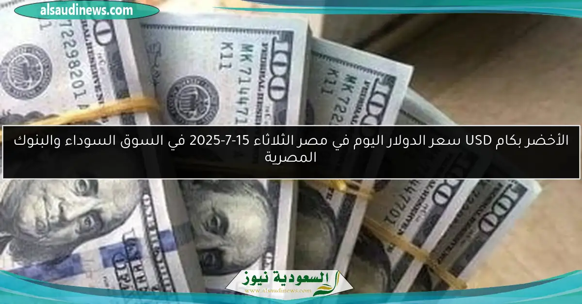 الأخضر بكام USD سعر الدولار اليوم في مصر الثلاثاء 15-7-2025 في السوق السوداء والبنوك المصرية