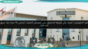 تعويض الانترنت الارضي 10 جيجا