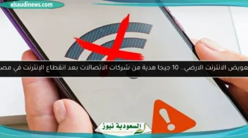 تعويض الانترنت الارضي