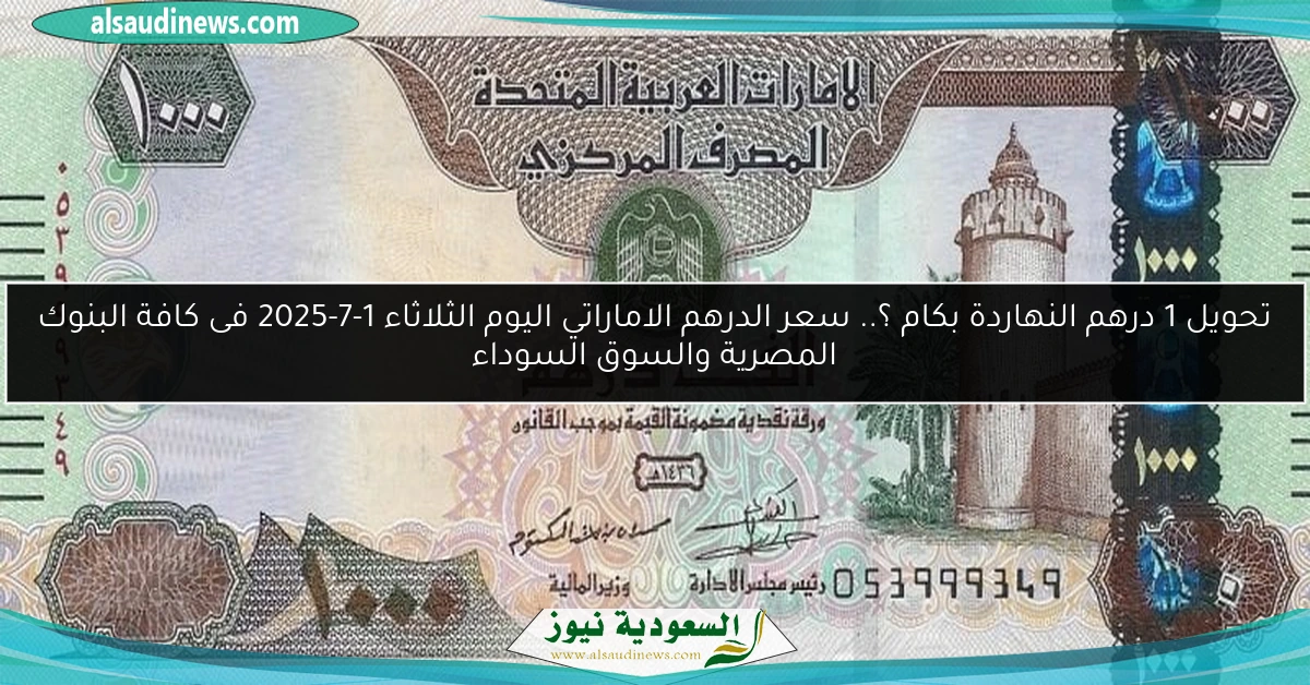 تحويل 1 درهم النهاردة بكام ؟.. سعر الدرهم الاماراتي اليوم الثلاثاء 1-7-2025 فى كافة البنوك المصرية والسوق السوداء