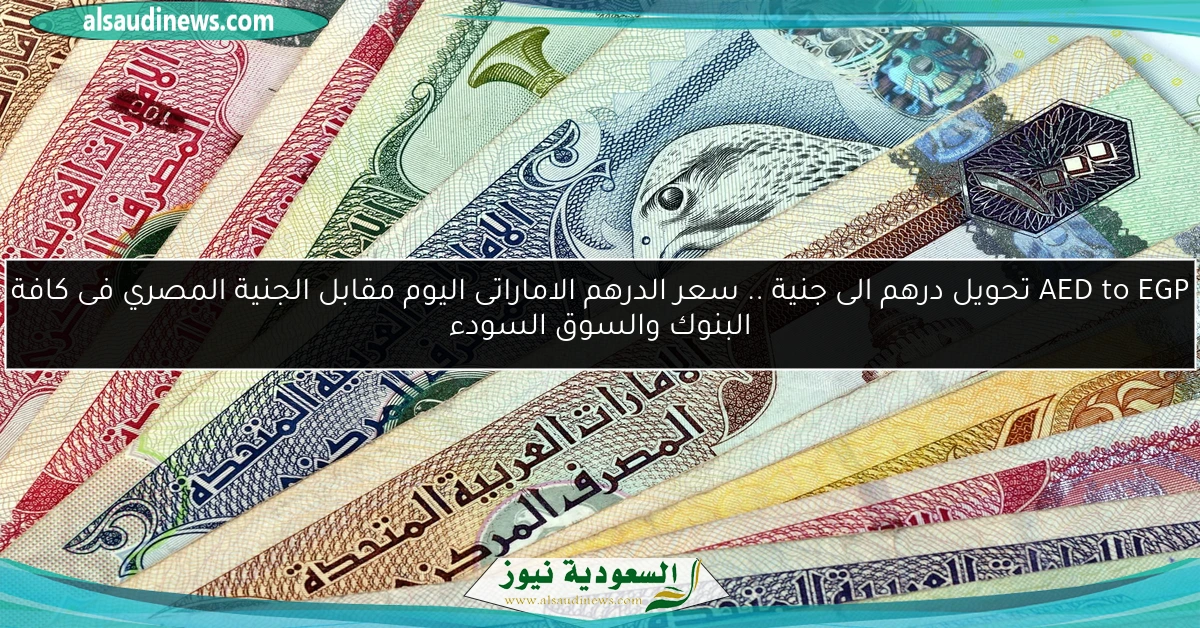 AED to EGP تحويل درهم الى جنية .. سعر الدرهم الاماراتى اليوم مقابل الجنية المصري فى كافة البنوك والسوق السودء