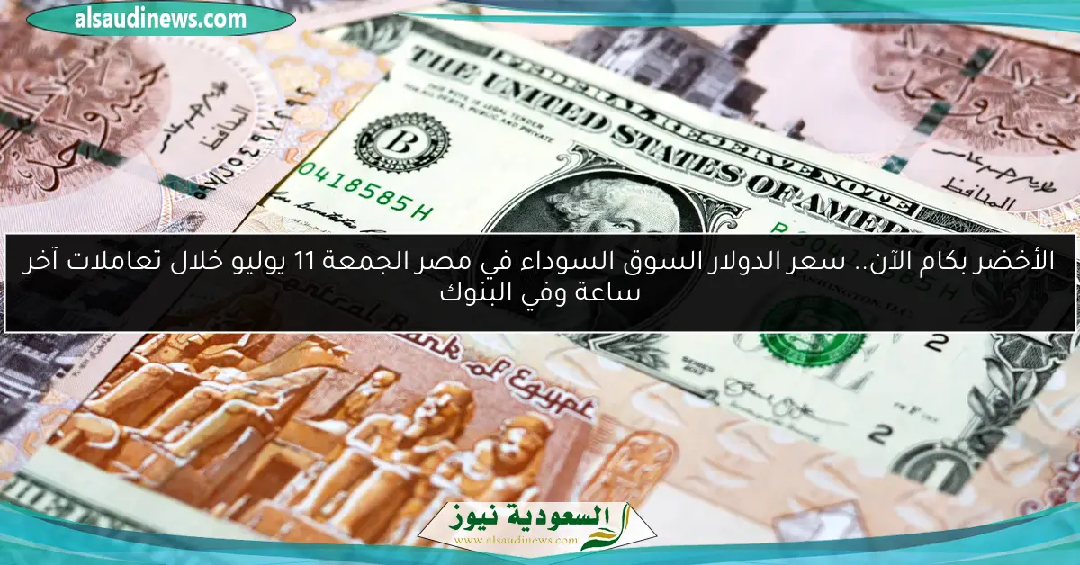 الأخضر بكام الآن.. سعر الدولار السوق السوداء في مصر الجمعة 11 يوليو خلال تعاملات آخر ساعة وفي البنوك
