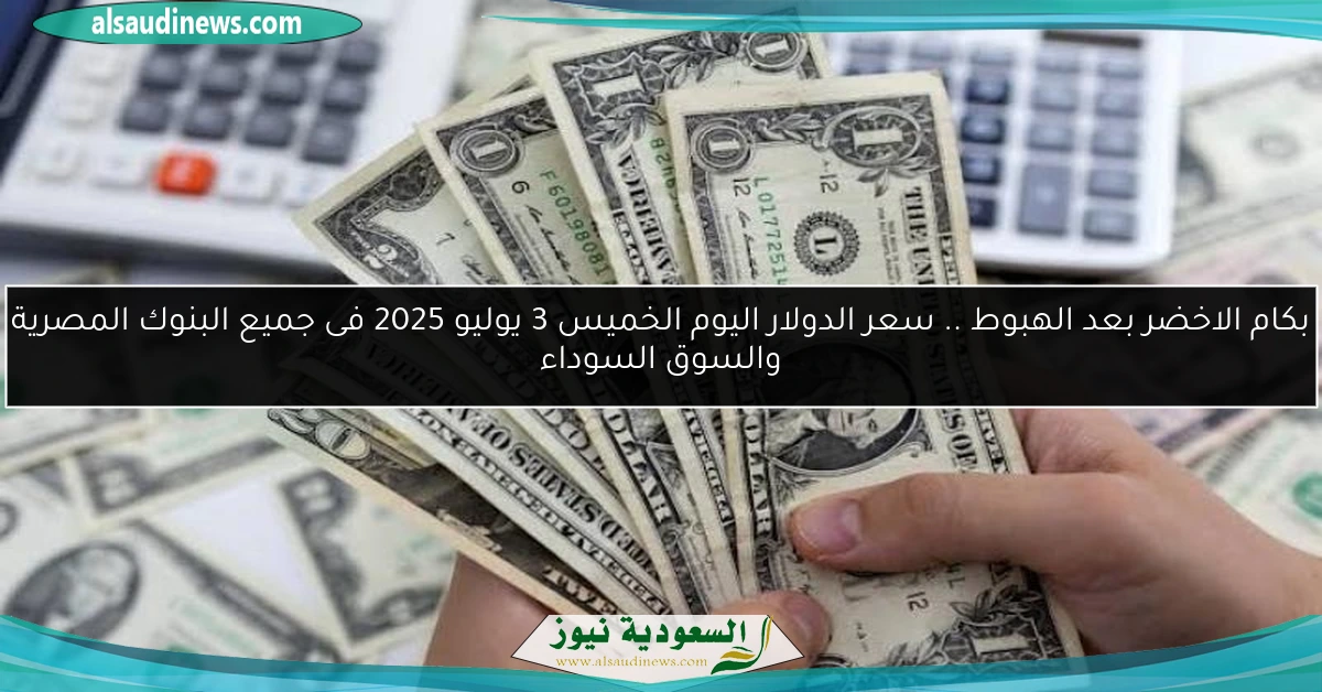 بكام الاخضر بعد الهبوط .. سعر الدولار اليوم الخميس 3 يوليو 2025 فى جميع البنوك المصرية والسوق السوداء
