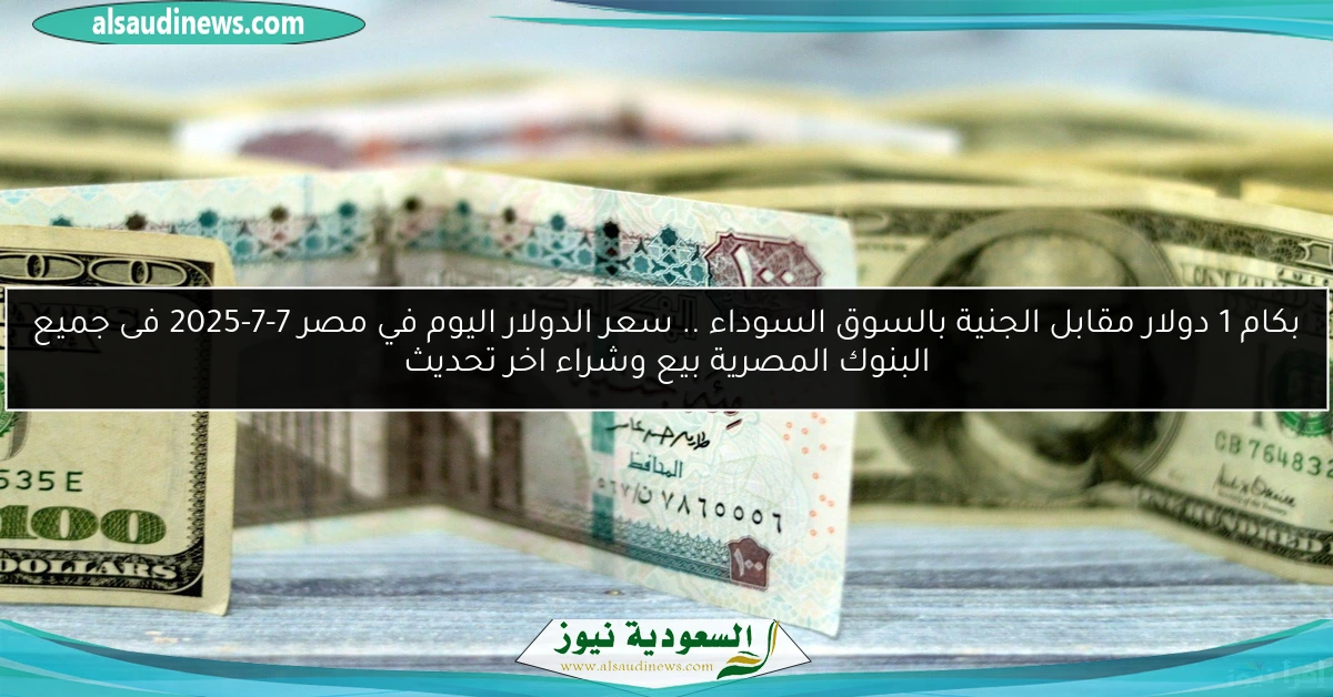 بكام 1 دولار مقابل الجنية بالسوق السوداء .. سعر الدولار اليوم في مصر 7-7-2025 فى جميع البنوك المصرية بيع وشراء اخر تحديث