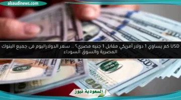 سعر الدولار اليوم 5
