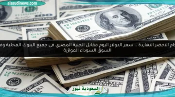 سعر الدولار اليوم 6