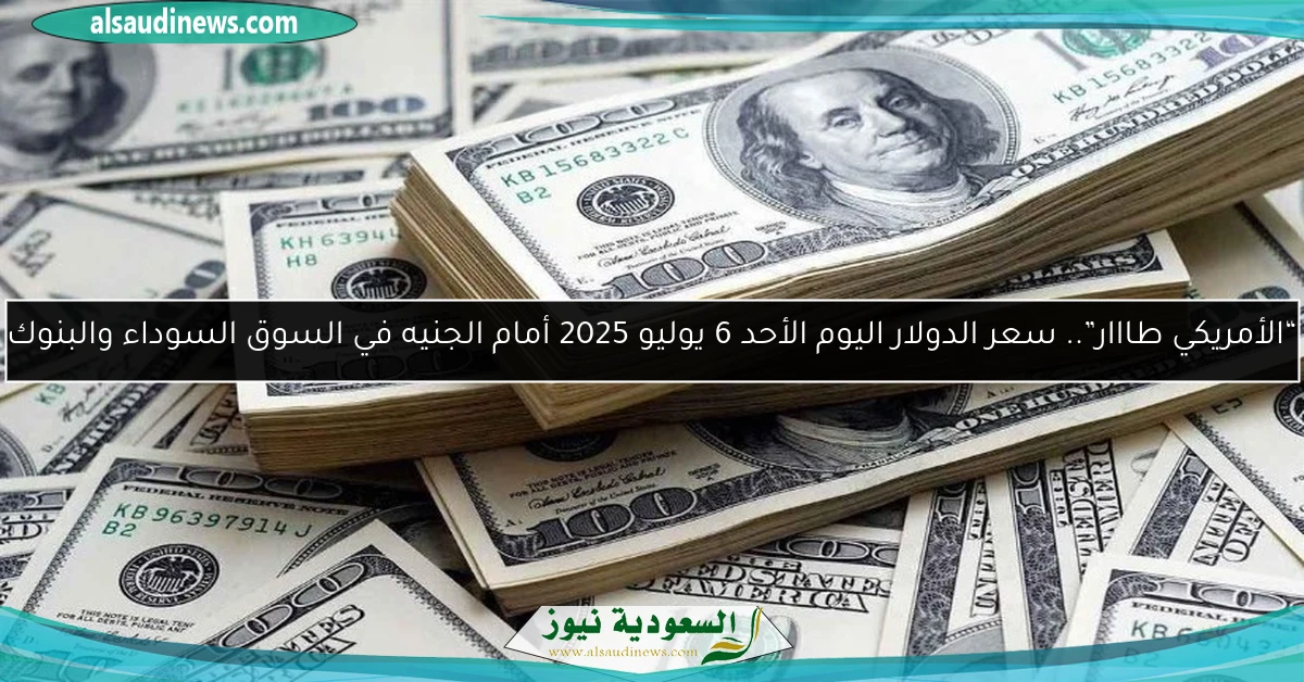 “الأمريكي طااار”.. سعر الدولار اليوم الأحد 6 يوليو 2025 أمام الجنيه في السوق السوداء والبنوك