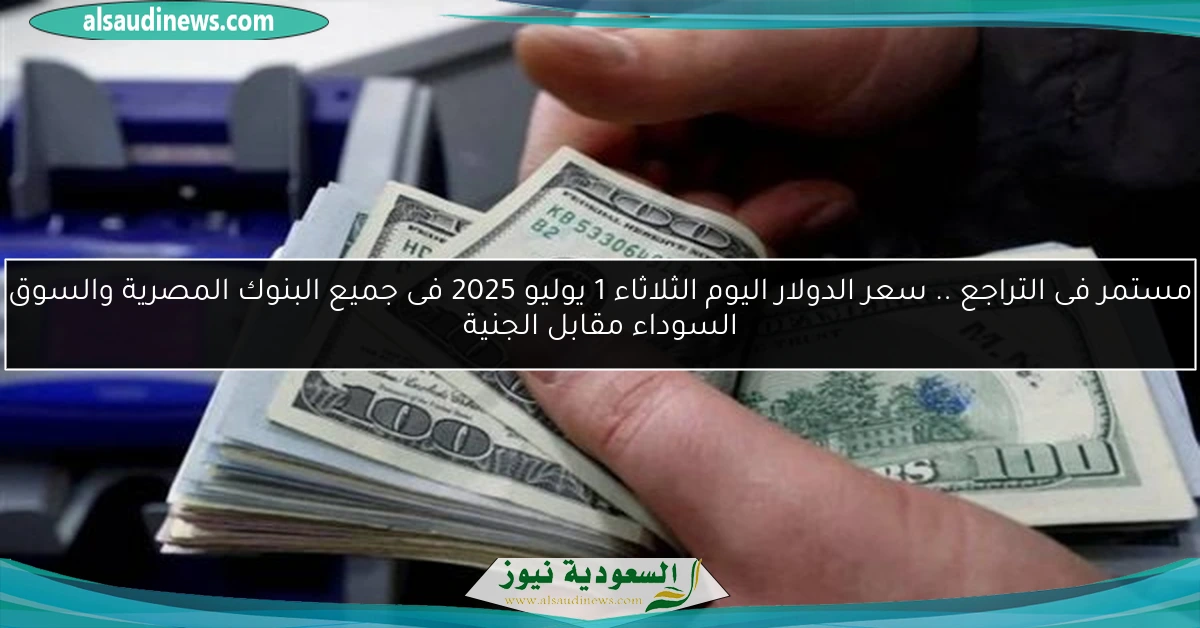 مستمر فى التراجع .. سعر الدولار اليوم الثلاثاء 1 يوليو 2025 فى جميع البنوك المصرية والسوق السوداء مقابل الجنية