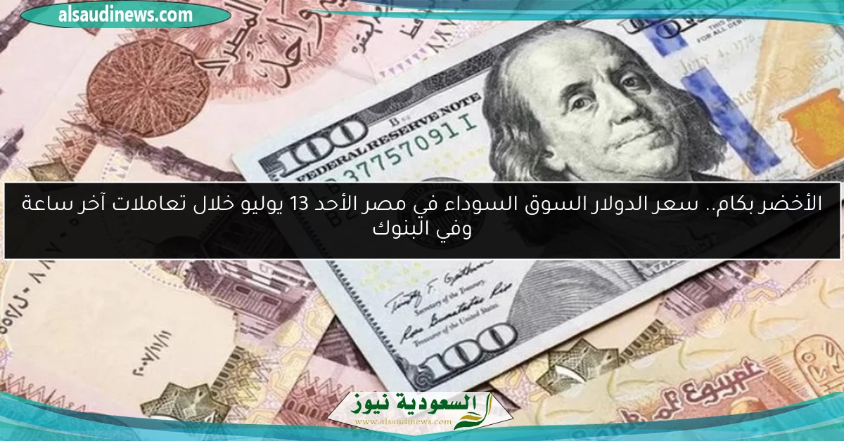 الأخضر بكام.. سعر الدولار السوق السوداء في مصر الأحد 13 يوليو خلال تعاملات آخر ساعة وفي البنوك