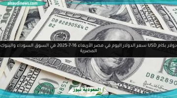 سعر الدولار في السوق السوداء بالجنيه المصري 1