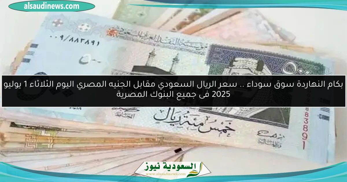 بكام النهاردة سوق سوداء .. سعر الريال السعودي مقابل الجنيه المصري اليوم الثلاثاء 1 يوليو 2025 فى جميع البنوك المصرية