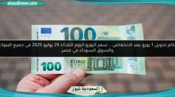 سعر اليورو