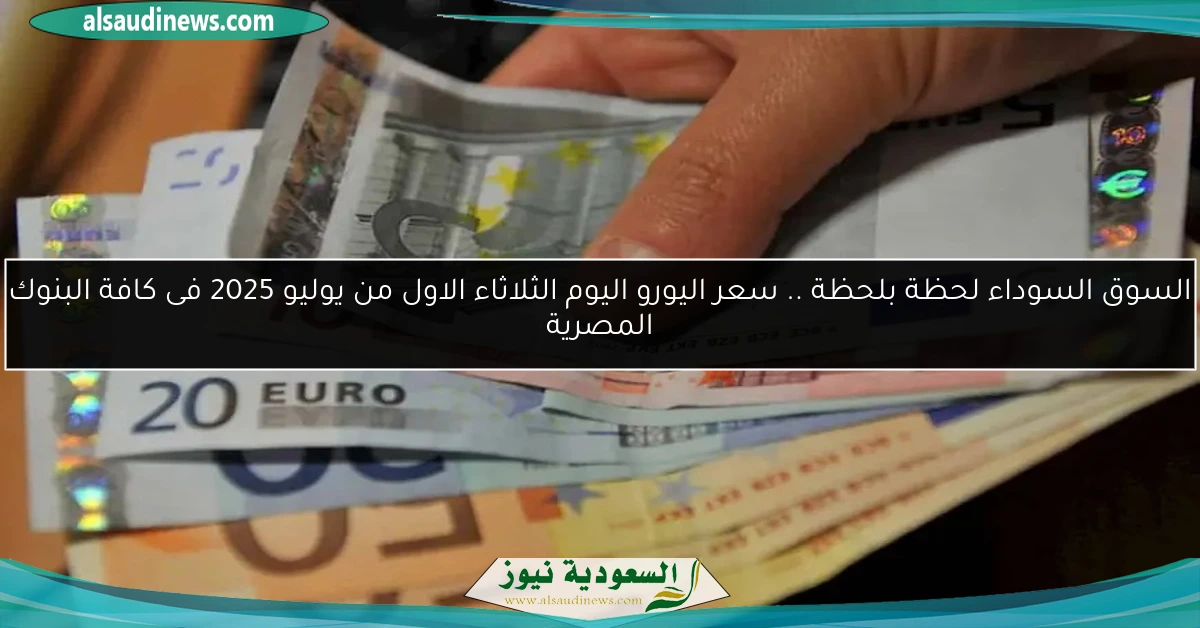 السوق السوداء لحظة بلحظة .. سعر اليورو اليوم الثلاثاء الاول من يوليو 2025 فى كافة البنوك المصرية