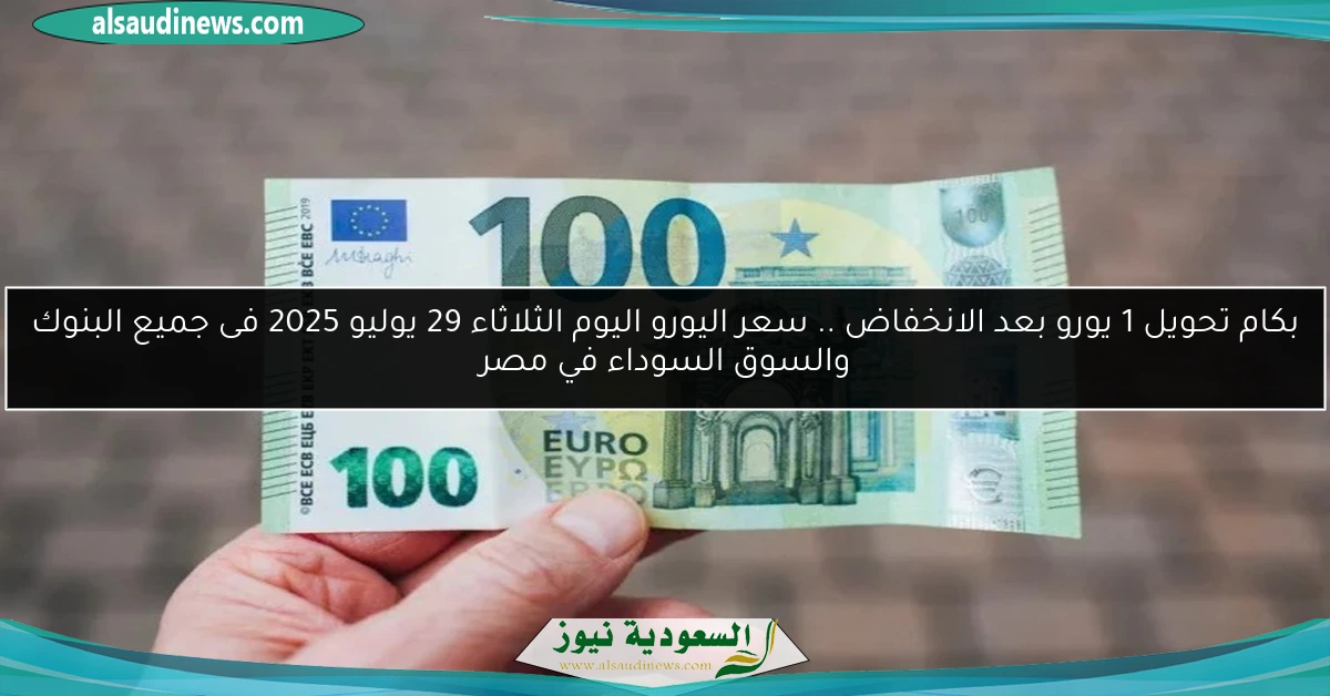 بكام تحويل 1 يورو بعد الانخفاض .. سعر اليورو اليوم الثلاثاء 29 يوليو 2025 فى جميع البنوك والسوق السوداء في مصر