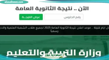 نتيجة الثانوية العامة 2025