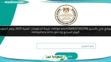 نتيجة الدبلومات الفنية 2025 برقم الجلوس اليوم السابع
