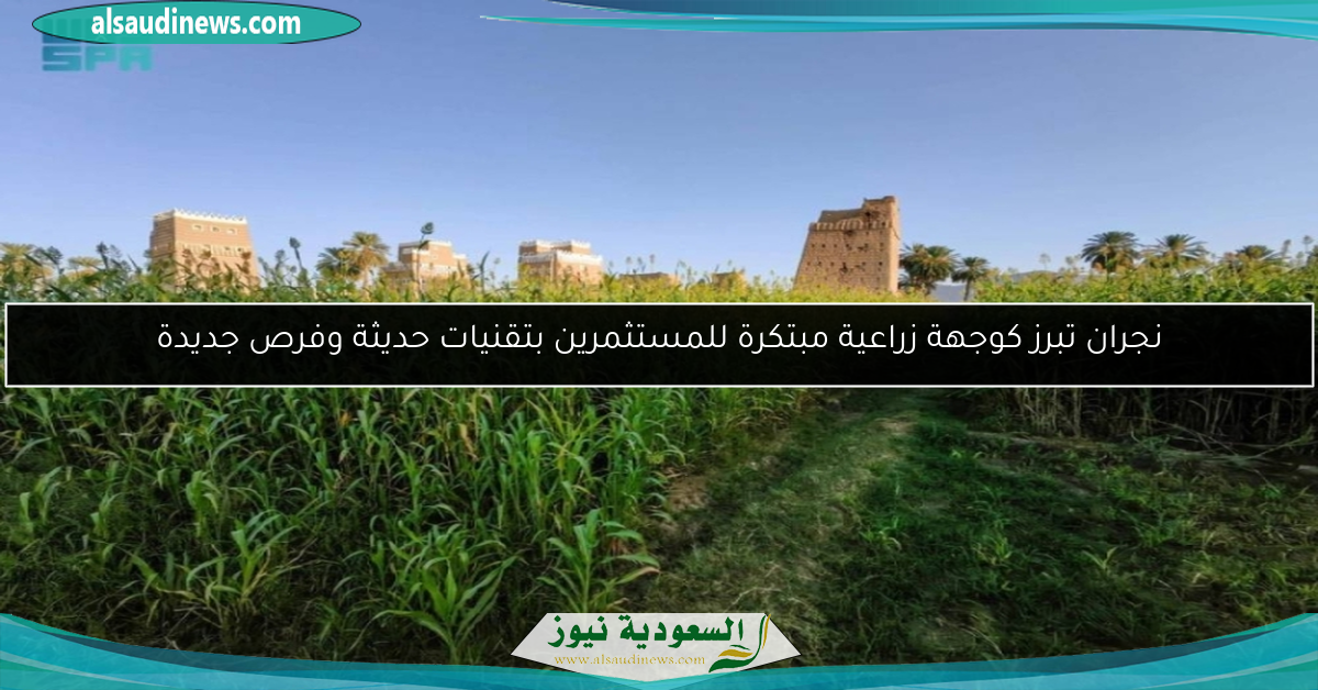 نجران تبرز كوجهة زراعية مبتكرة للمستثمرين بتقنيات حديثة وفرص جديدة