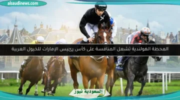 100 001617 11 horses compete president cup arabian horses 700x400