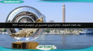 100 004231 egyptian league system 2026 relegation 700x400