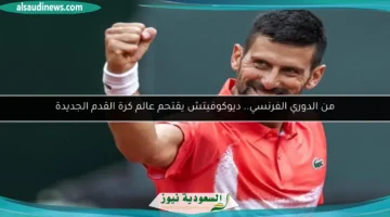 100 202816 djokovic storms football world 700x400