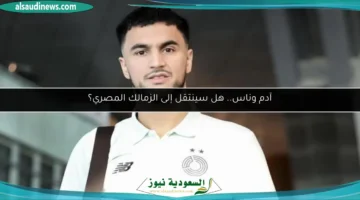 124 181434 adam ounas zamalek transfer fact 700x400