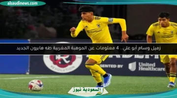 124 201322 wissem abou ali taha habroune 700x400