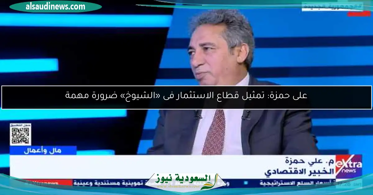على حمزة: تمثيل قطاع الاستثمار فى «الشيوخ» ضرورة مهمة