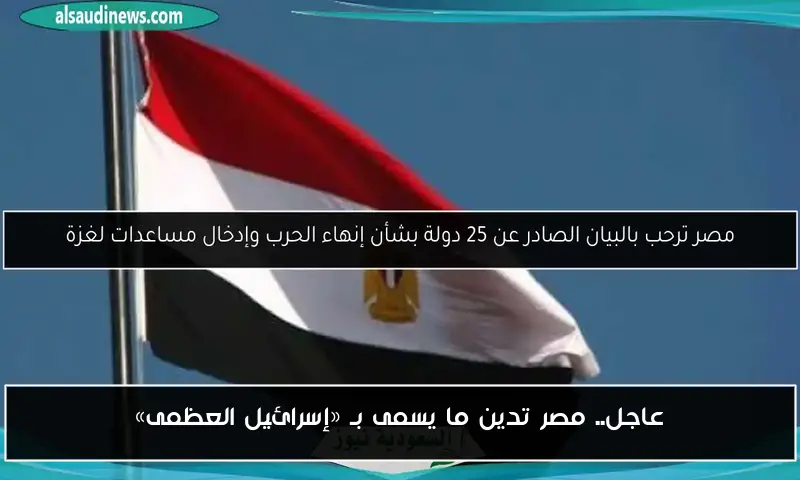 عاجل.. مصر تدين ما يسمى بـ «إسرائيل العظمى»