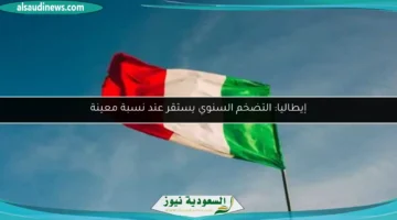 17515022740