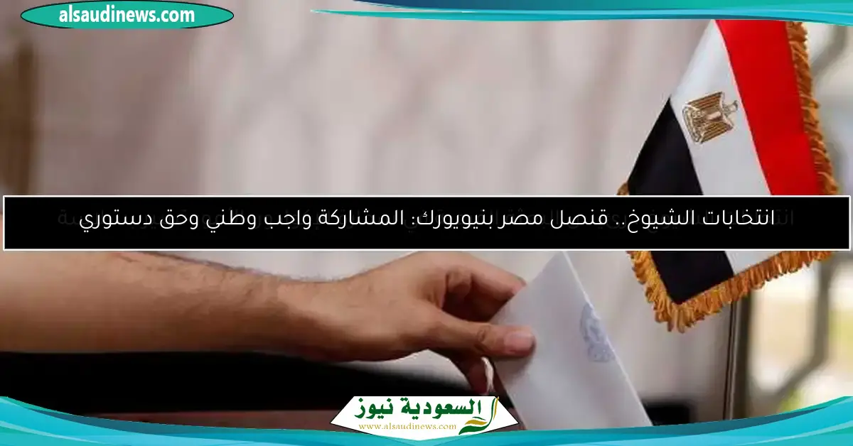 استخدام وسائل حديثة في انتخابات الشيوخ بالخارج إنفوجراف