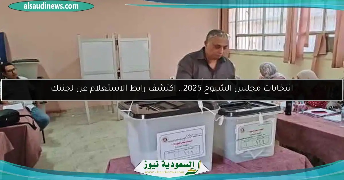 انتخابات مجلس الشيوخ 2025.. اكتشف رابط الاستعلام عن لجنتك