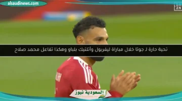 1754339233 large