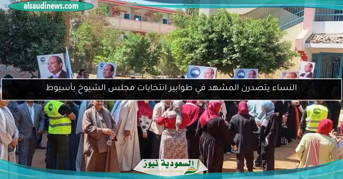 النساء يتصدرن المشهد في طوابير انتخابات مجلس الشيوخ بأسيوط