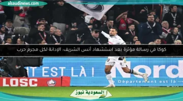 1754961312 large