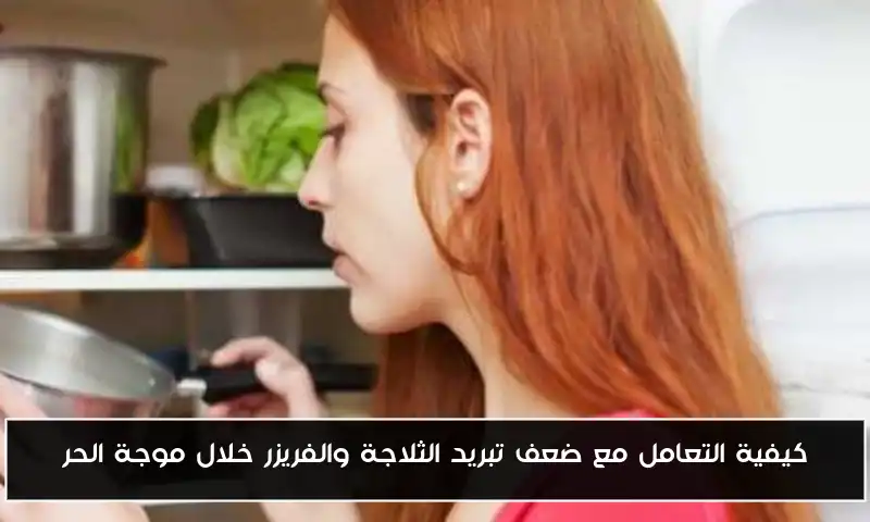 كيفية التعامل مع ضعف تبريد الثلاجة والفريزر خلال موجة الحر