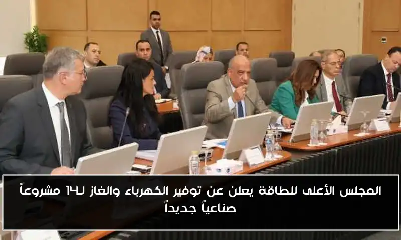 المجلس الأعلى للطاقة يعلن عن توفير الكهرباء والغاز لـ14 مشروعاً صناعياً جديداً