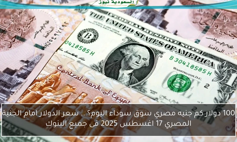 100 دولار كم جنيه مصري سوق سوداء اليوم؟ .. سعر الدولار امام الجنية المصري 17 اغسطس 2025 فى جميع البنوك