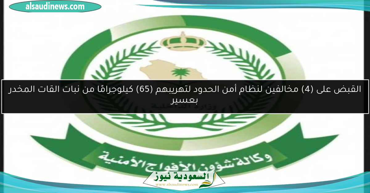 القبض على (4) مخالفين لنظام أمن الحدود لتهريبهم (65) كيلوجرامًا من نبات القات المخدر بعسير