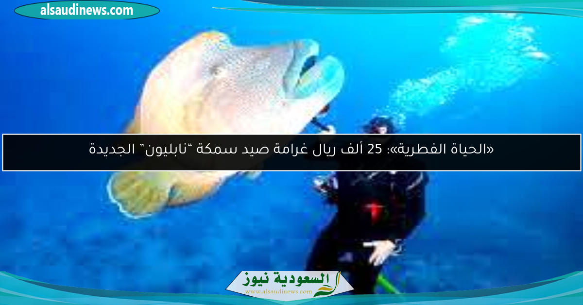 «الحياة الفطرية»: 25 ألف ريال غرامة صيد سمكة “نابليون” الجديدة