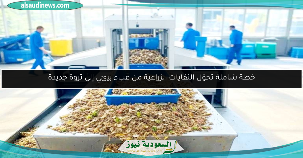خطة شاملة تحوّل النفايات الزراعية من عبء بيئي إلى ثروة جديدة