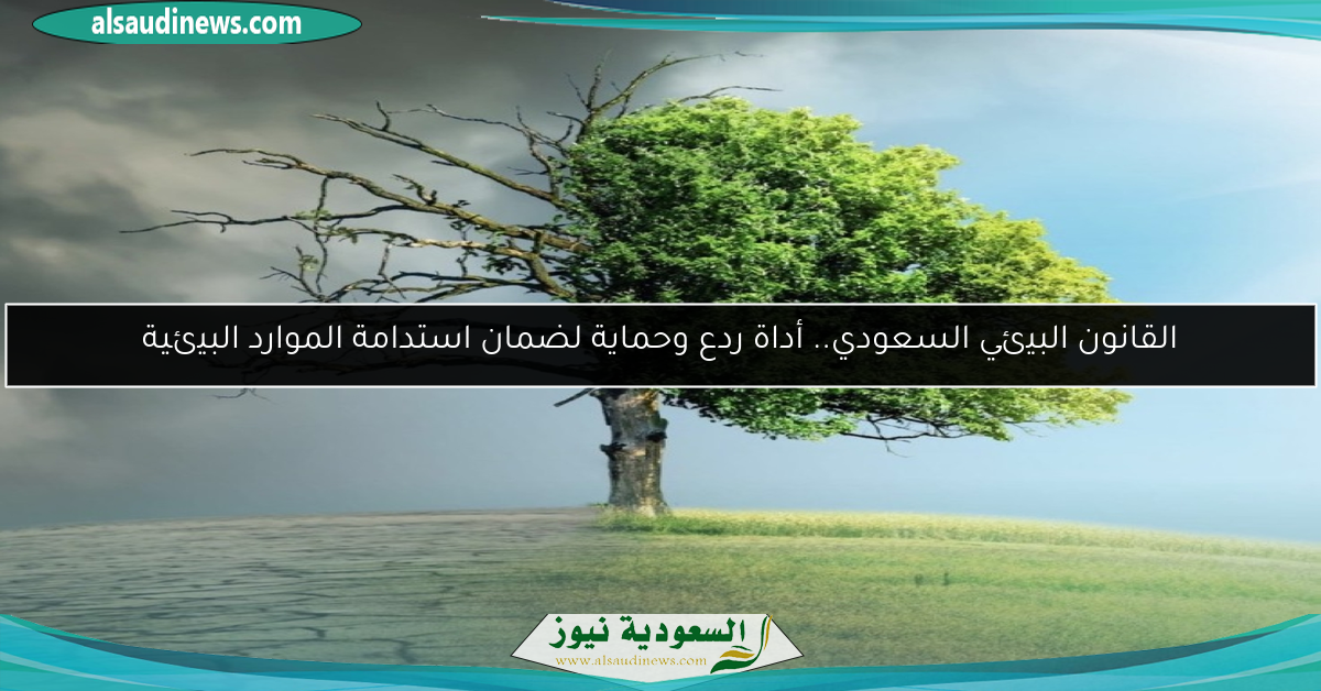 القانون البيئي السعودي.. أداة ردع وحماية لضمان استدامة الموارد البيئية