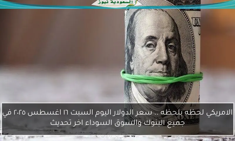 الامريكي لحظه بلحظه .. سعر الدولار اليوم السبت ١٦ اغسطس ٢٠٢٥ في جميع البنوك والسوق السوداء اخر تحديث