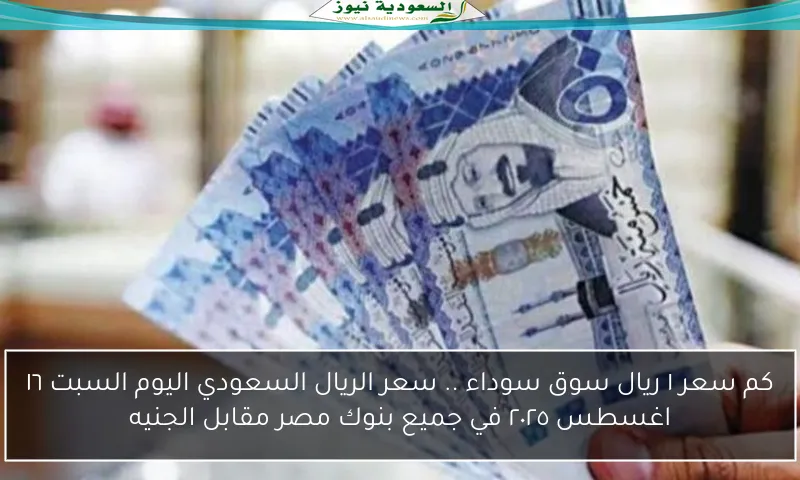 كم سعر ١ ريال سوق سوداء .. سعر الريال السعودي اليوم السبت ١٦ اغسطس ٢٠٢٥ في جميع بنوك مصر مقابل الجنيه