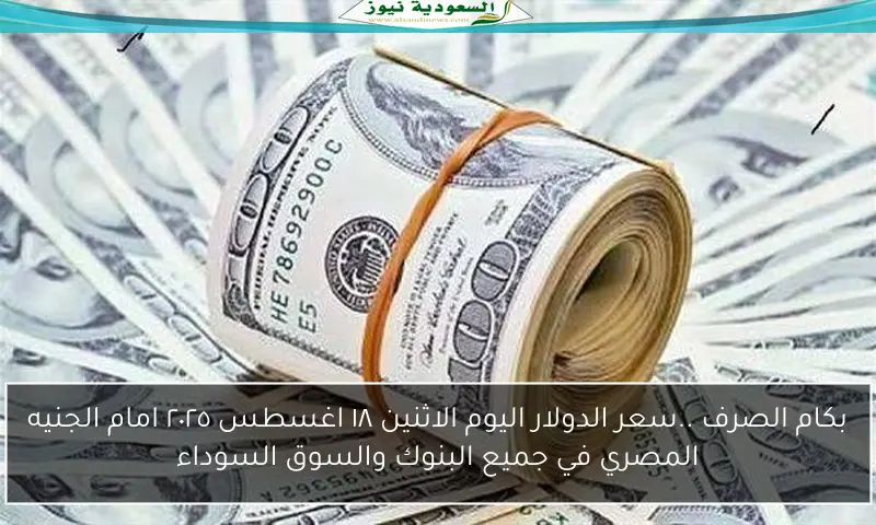بكام الصرف ..سعر الدولار اليوم الاثنين ١٨ اغسطس ٢٠٢٥ امام الجنيه المصري في جميع البنوك والسوق السوداء